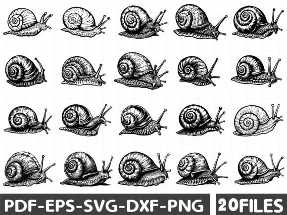 Seashell Monochrome Clip Art Graphics for Editorial and Web Design